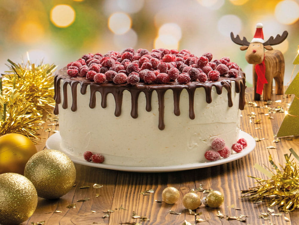 MULLED WINE CHOCOLATE CAKE